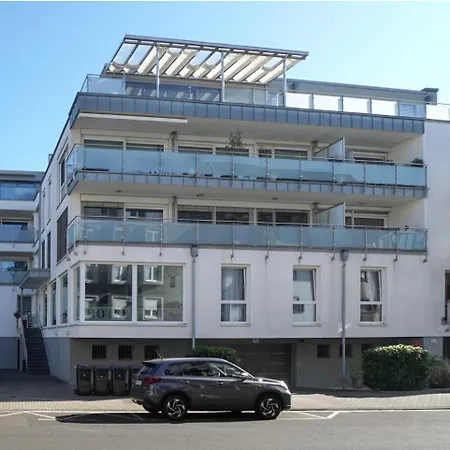 Guestified Milo Noel