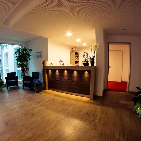 Guestified Milo Noel Βόννη