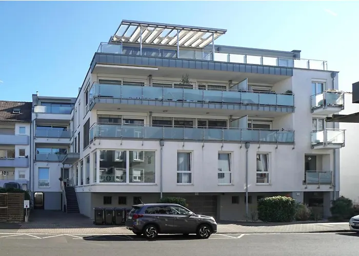 Guestified Milo Noel