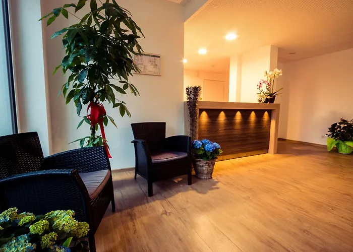 Guestified Milo Noel 3* Bona