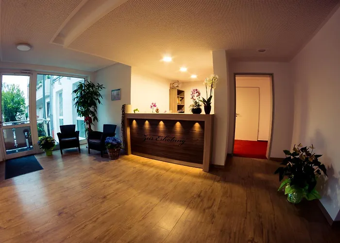 Guestified Milo Noel Βόννη